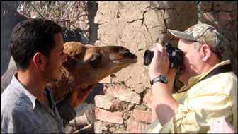 Curious young camel investigates Don Birkner, one of our photographers