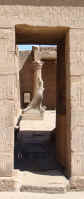 Horus at Edfu Temple, Edfu, Egypt. Photo: Ruth Shilling