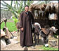 Local Farmer, Saqqara