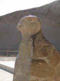 God Horus, bottom of staircase