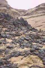 Forest of Pillars -- volcanic formation